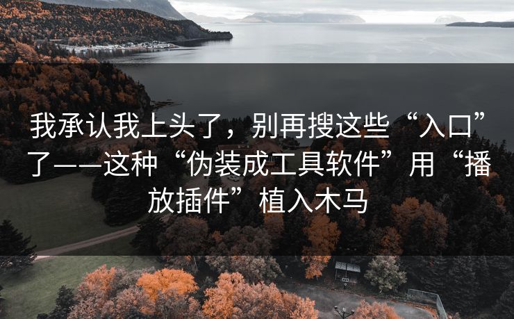 我承认我上头了，别再搜这些“入口”了——这种“伪装成工具软件”用“播放插件”植入木马